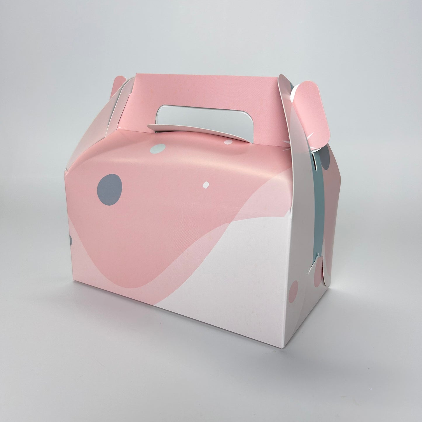Caja Lonchera 18x10x9 cm Espacial