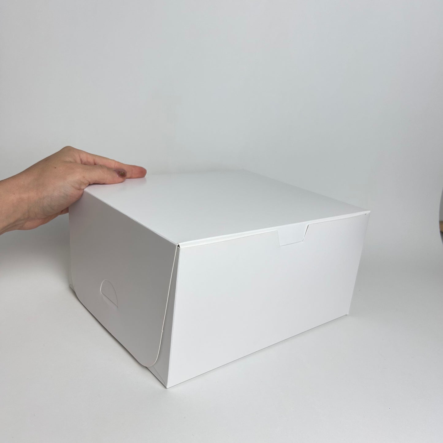 Caja 24x20x12 cm Cartulina Blanca