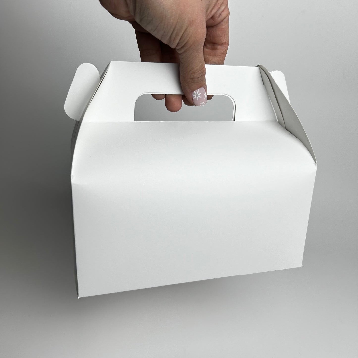 Caja Lonchera 18x10x9 cm Cartulina Blanca