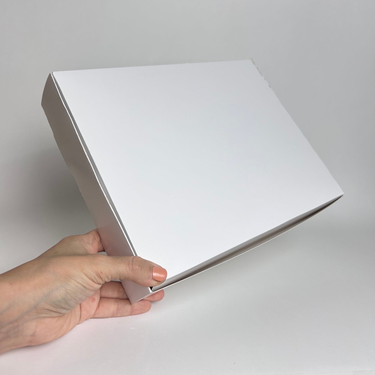 Caja 28x22x5 cm Cartulina Blanca x100 uds