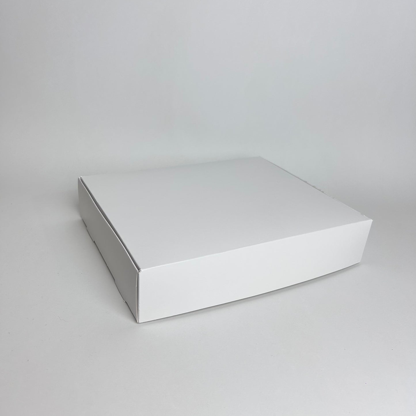 Caja 25x20x5 cm Cartulina Blanca x100 uds