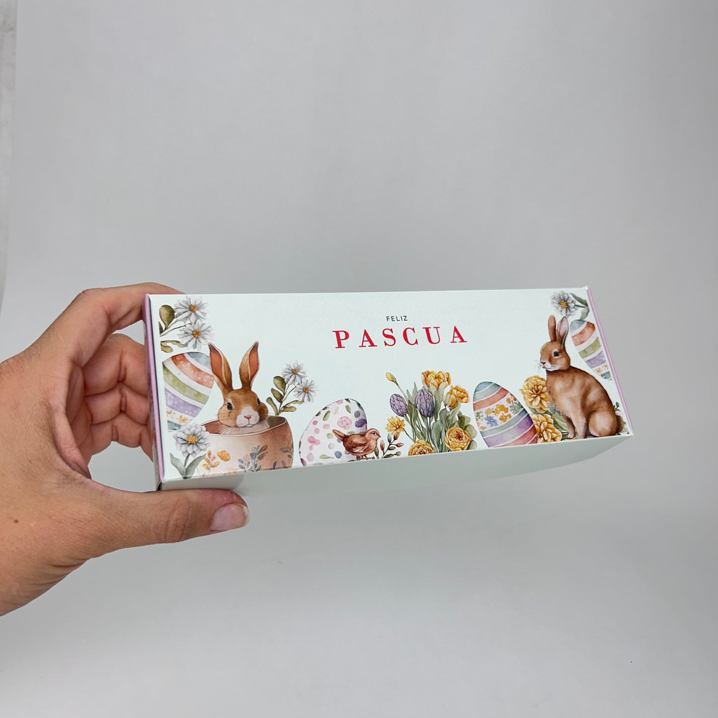 Caja 19x7x3 cm Pascua (3 alfajores)