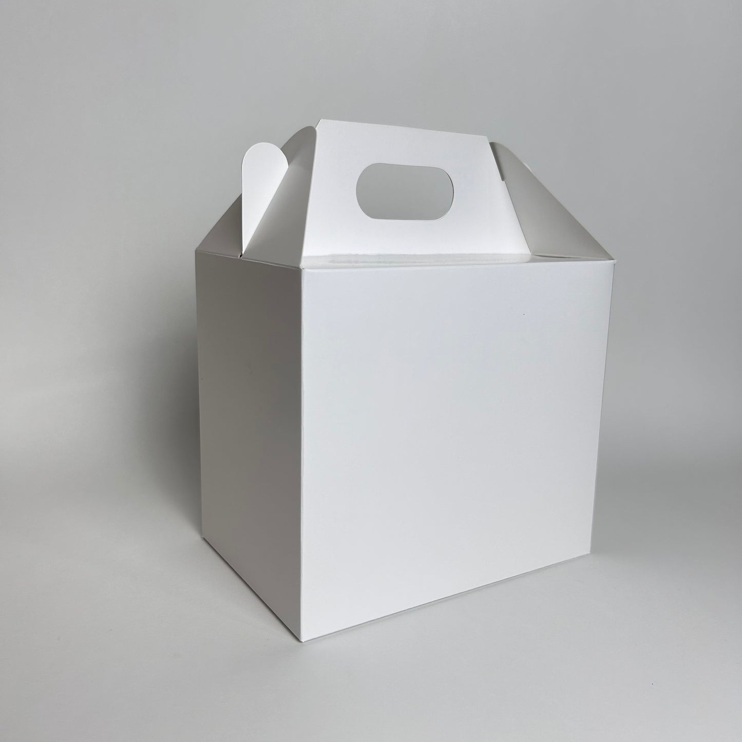 Caja Maletín 20x14x18 cm Cartulina Blanca